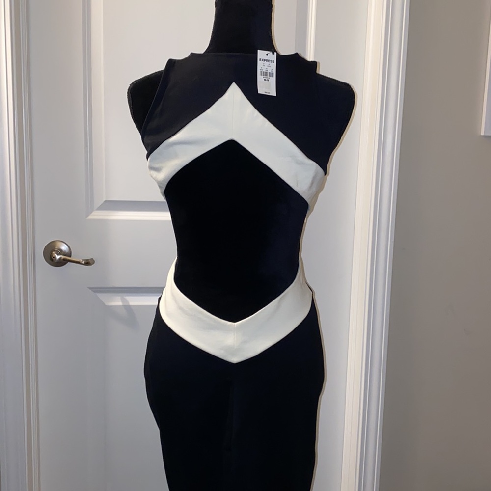 Express Color Block Bodycon Dress - Picture 4 of 4